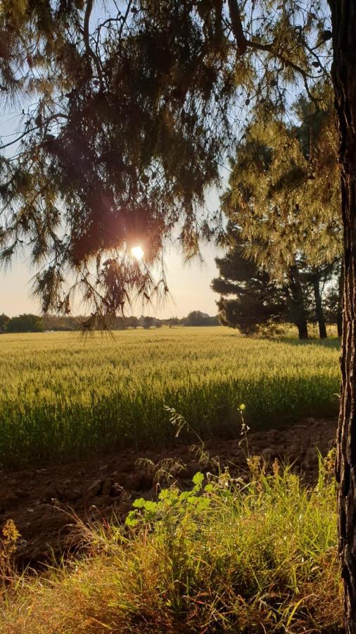 Masseria Vivi Il Salento Santa Caterina  Eksteriør billede