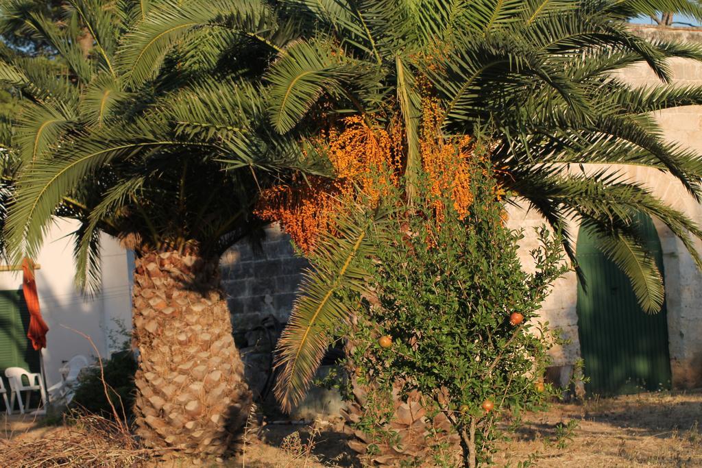Masseria Vivi Il Salento Santa Caterina  Værelse billede