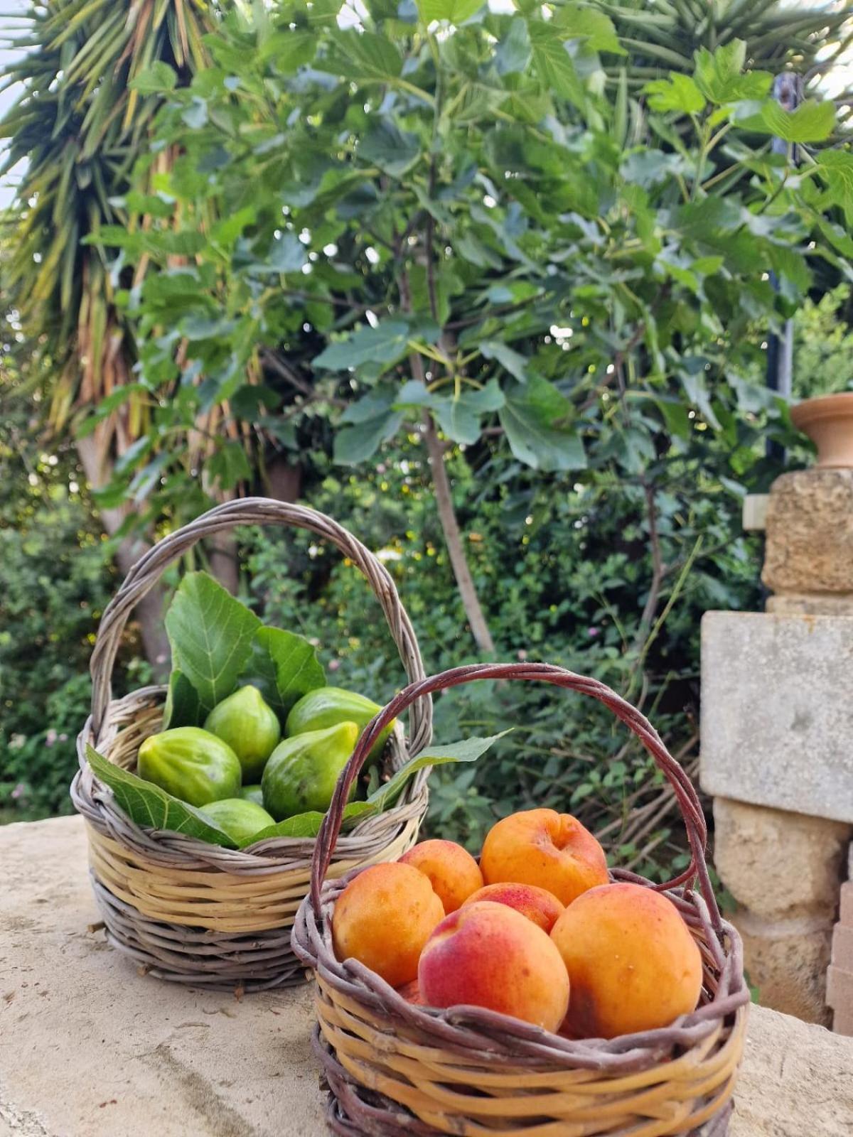 Masseria Vivi Il Salento Santa Caterina  Eksteriør billede