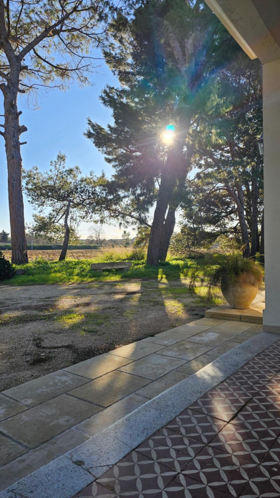 Masseria Vivi Il Salento Santa Caterina  Eksteriør billede