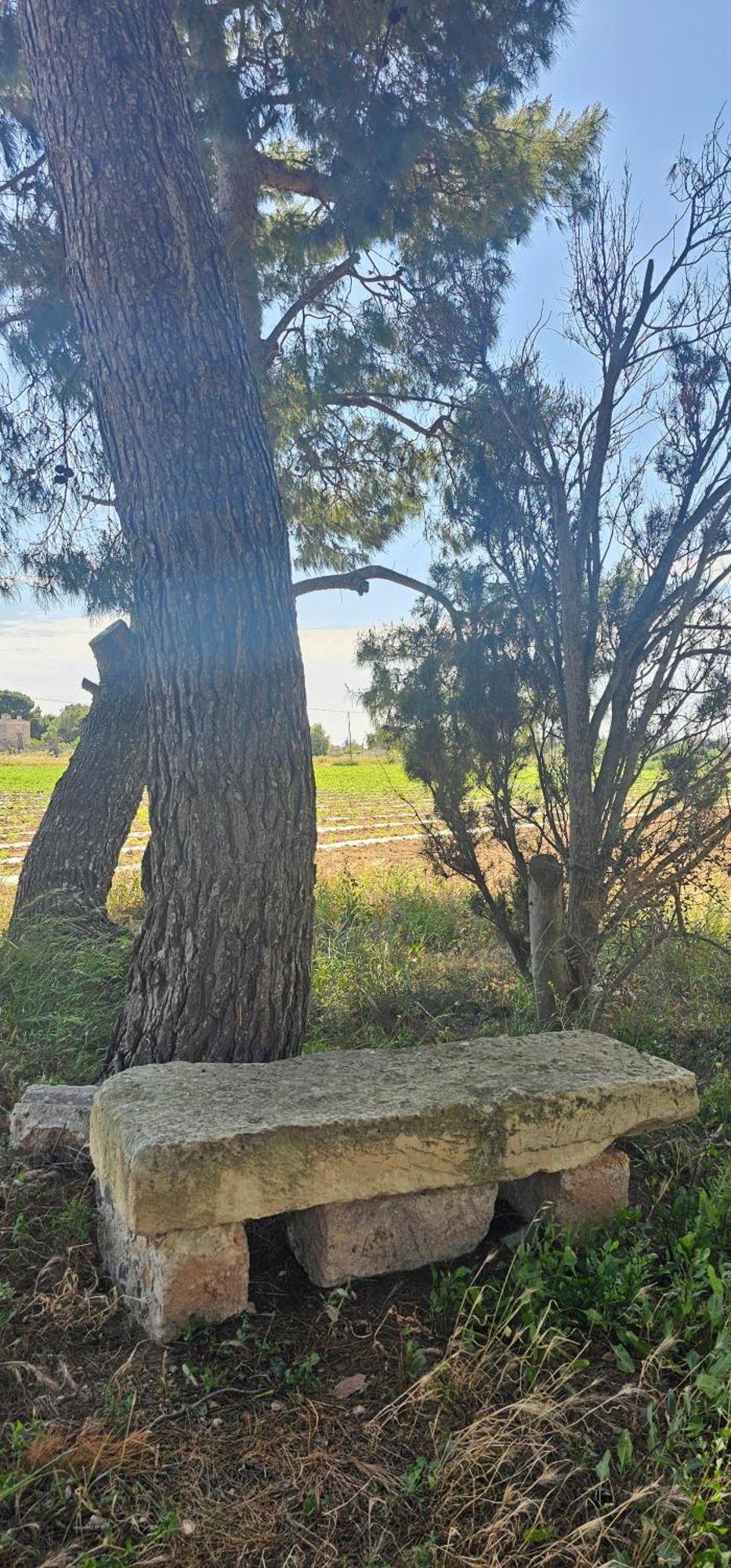 Masseria Vivi Il Salento Santa Caterina  Eksteriør billede