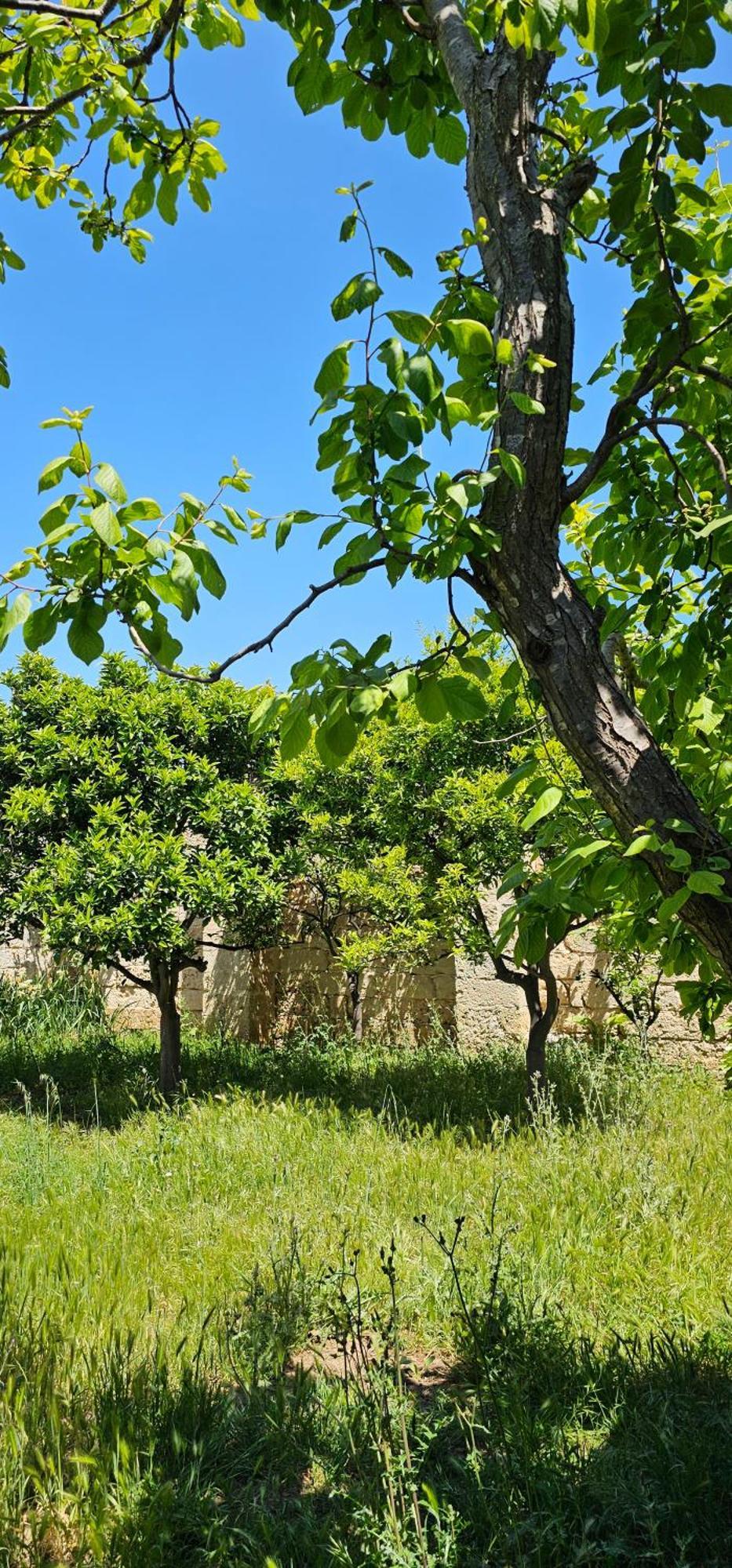 Masseria Vivi Il Salento Santa Caterina  Eksteriør billede