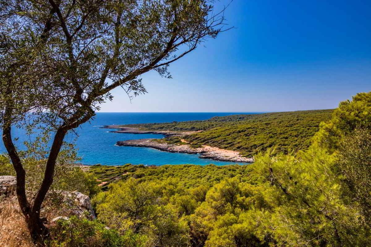 Masseria Vivi Il Salento Santa Caterina  Eksteriør billede