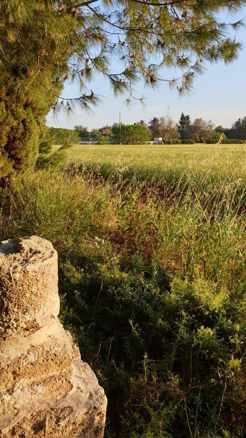 Masseria Vivi Il Salento Santa Caterina  Eksteriør billede